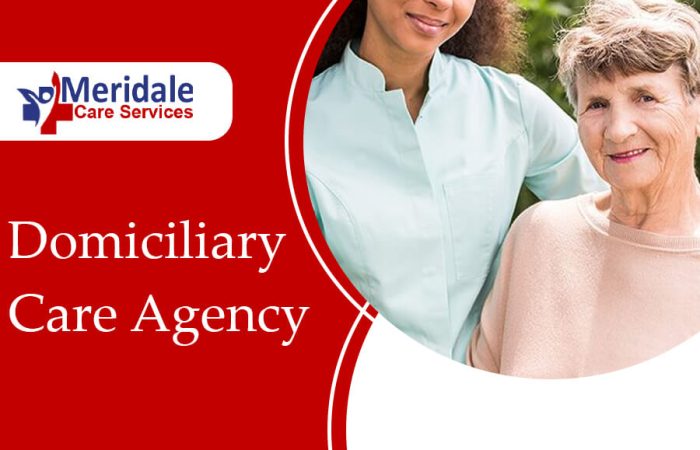 domiciliary care agency