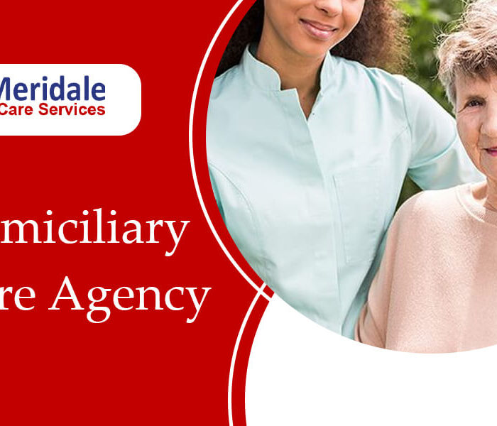 domiciliary care agency