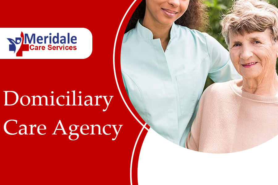 domiciliary care agency